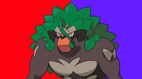 rillaboom best nature.